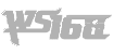 icon ws168